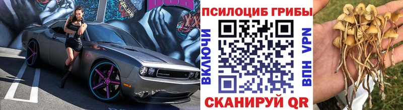 Псилоцибиновые грибы Cubensis  мориарти официальный сайт  Южно-Сахалинск 