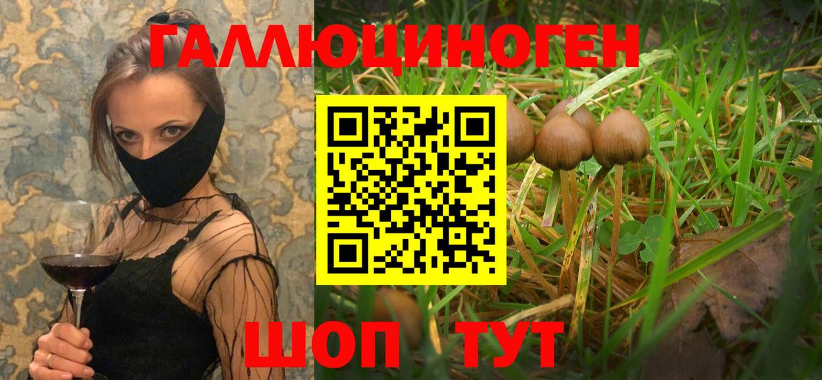 Псилоцибиновые грибы GOLDEN TEACHER  Галлюциногенные грибы GOLDEN TEACHER  Вход с VPN  Южно-Сахалинск 