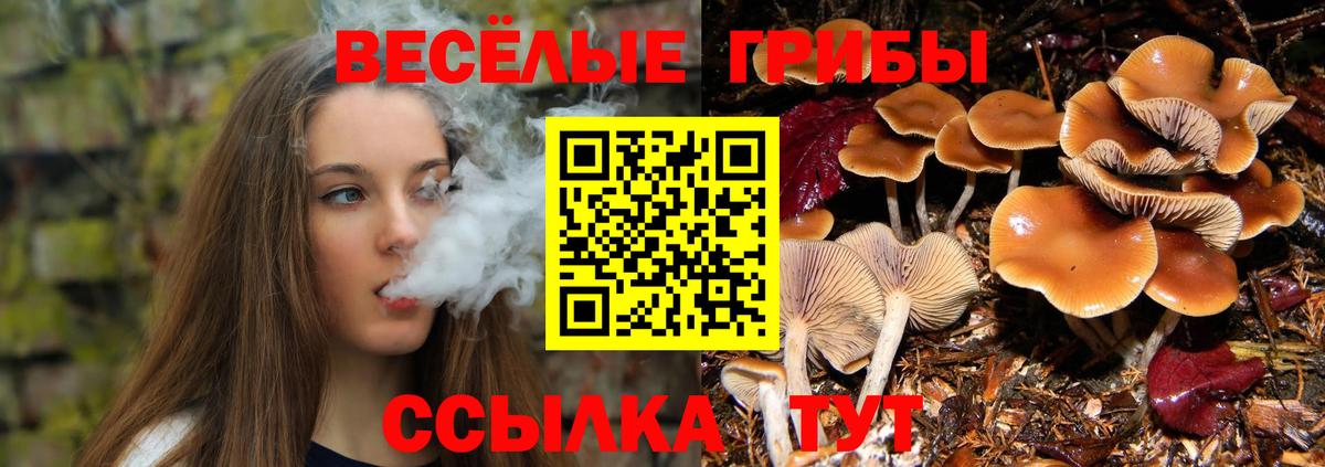 Псилоцибиновые грибы MAGIC MUSHROOMS Южно-Сахалинск